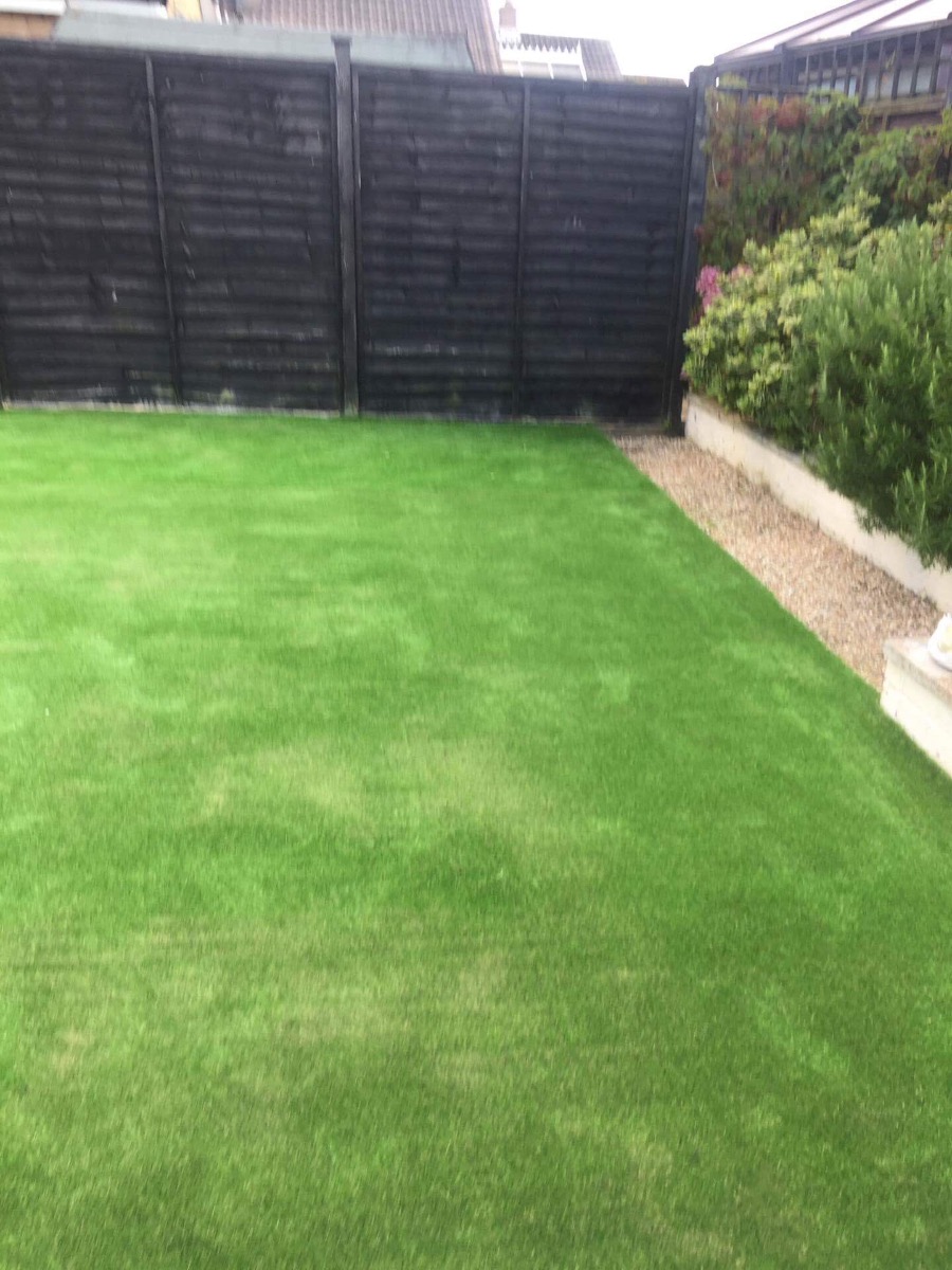Gardener: Image 18